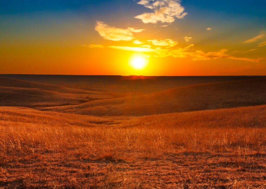 Golden Kansas plainswith open sky