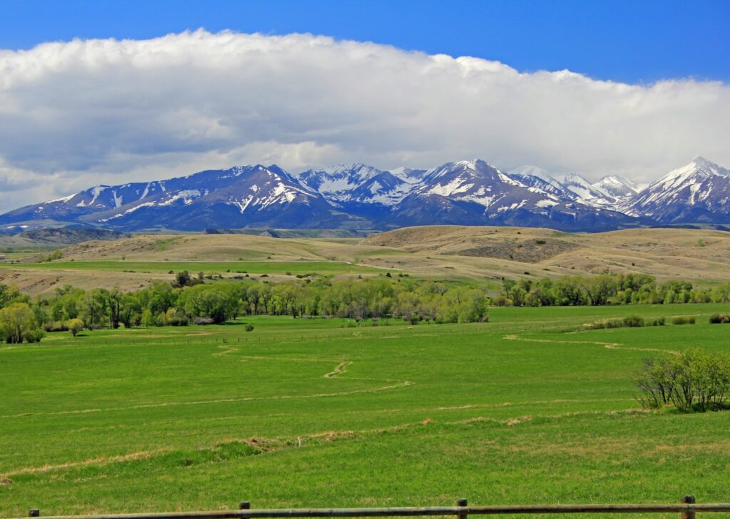 Expansive Montana plains with distant snowcapped mountains